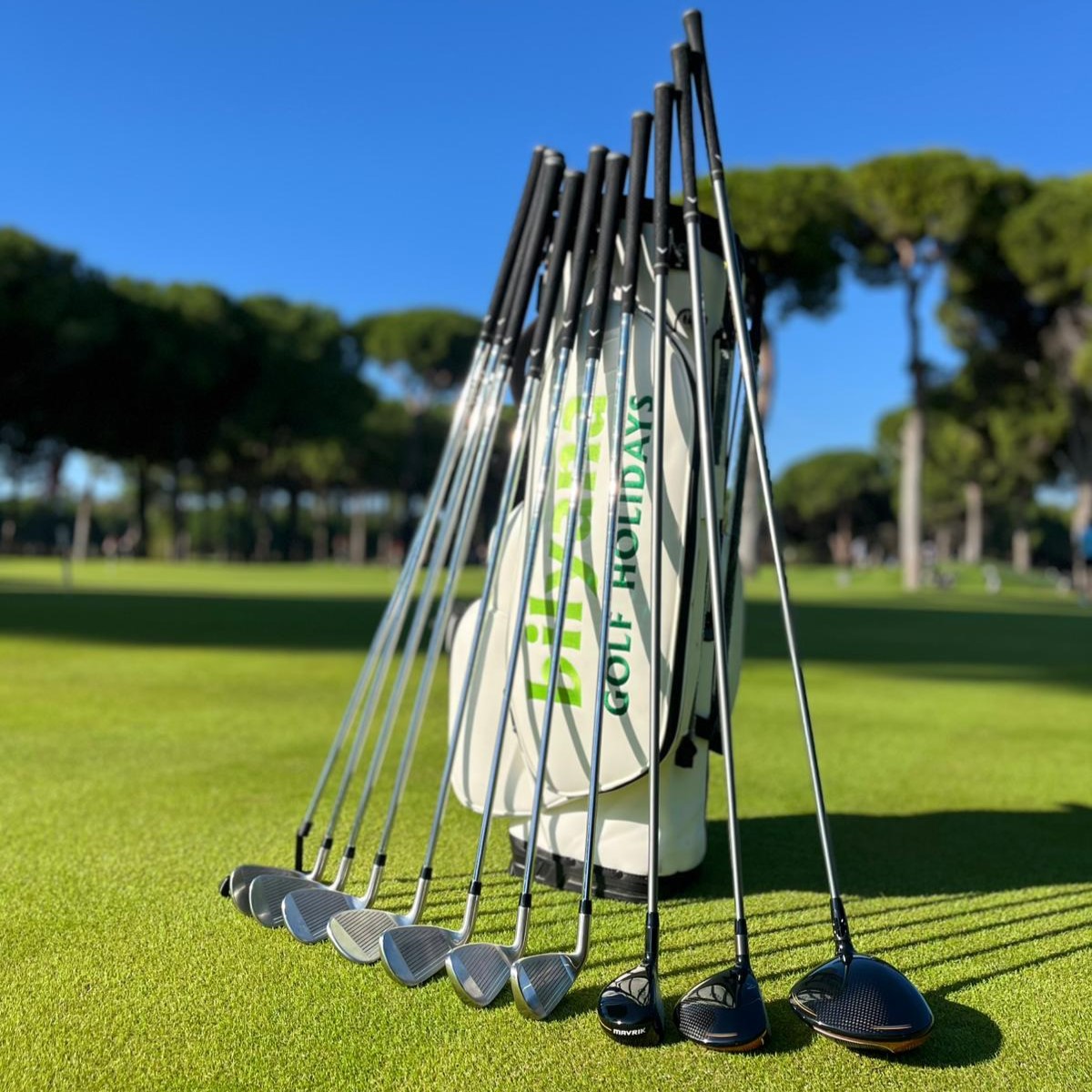 https://segment.bilyanagolf.com/files/imaj/clubhire1.jpg